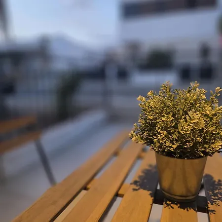 Διαμέρισμα Epicurian *