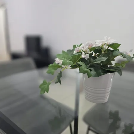 Apartament Epicurian *